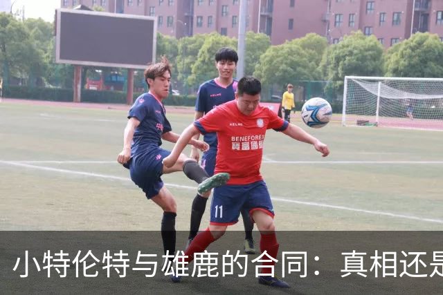 小特伦特与雄鹿的合同：真相还是阴影？
